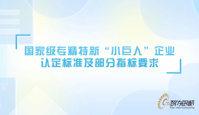 ***專精特新“小巨人”企業認定標準及部分指標要求