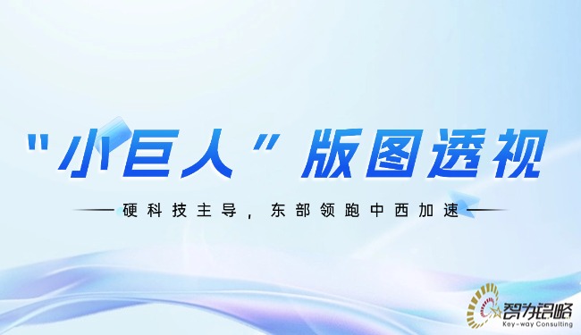 1762829146102254.jpg “小巨人”版圖透視:硬科技主導(dǎo),東部領(lǐng)跑中西加速.jpg